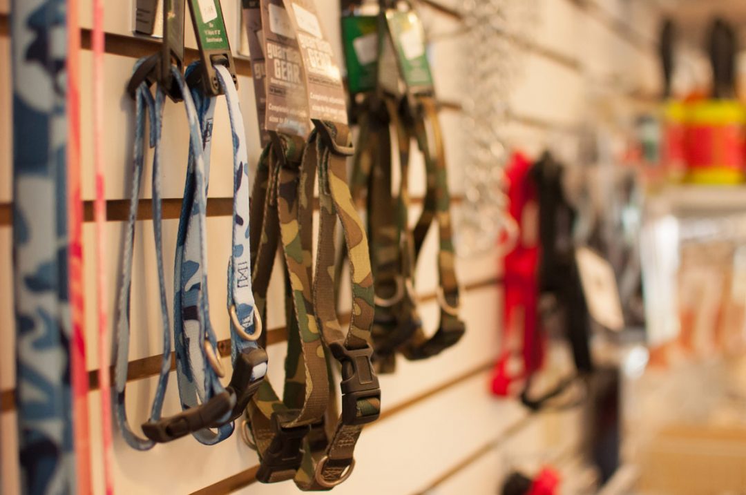 Supplies Tannenberg Pet Resort